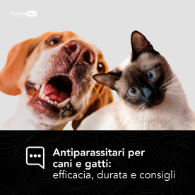 Antiparassitari per cani e gatti: efficacia, durata e consigli