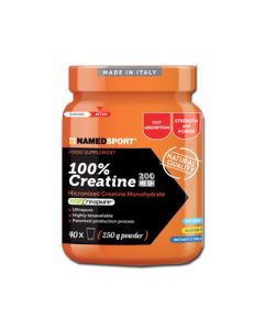 CREATINA 100% 500G 