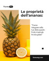 Proprietà brucia-grassi dell'ANANAS: come integrarlo nella tua dieta